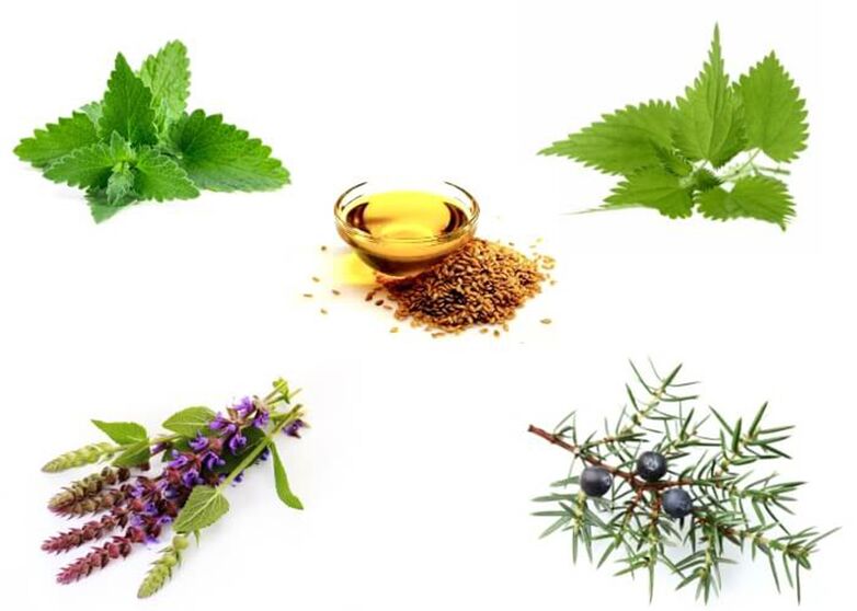 Mint, urzică, cimbru, ienupăr și ulei de in