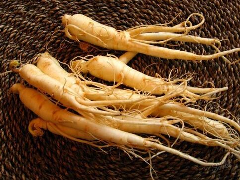 Rădăcină de ginseng pentru a crește potența după 60 de ani