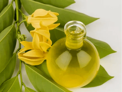 Aromaterapie pentru a îmbunătăți eficacitatea